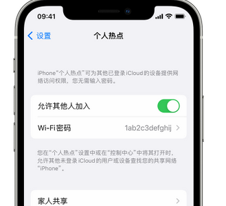 乌什apple服务站点分享iPhone上个人热点丢失了怎么办 