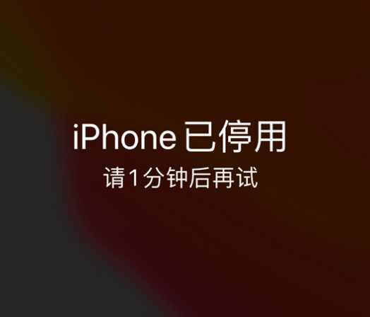 乌什苹果手机维修分享:iPhone 显示“不可用”或“已停用”怎么办？还能保留数据吗？ 