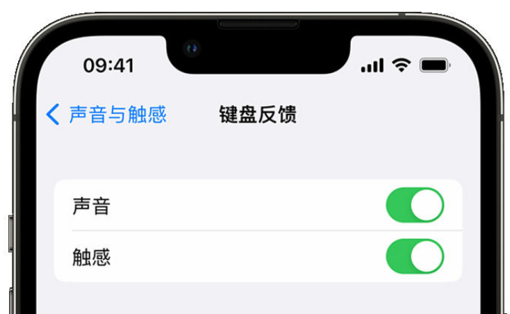 乌什苹果手机维修分享iPhone 14触感键盘使用方法 