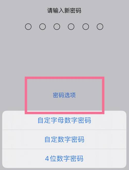 乌什苹果14维修分享iPhone 14plus设置密码的方法 