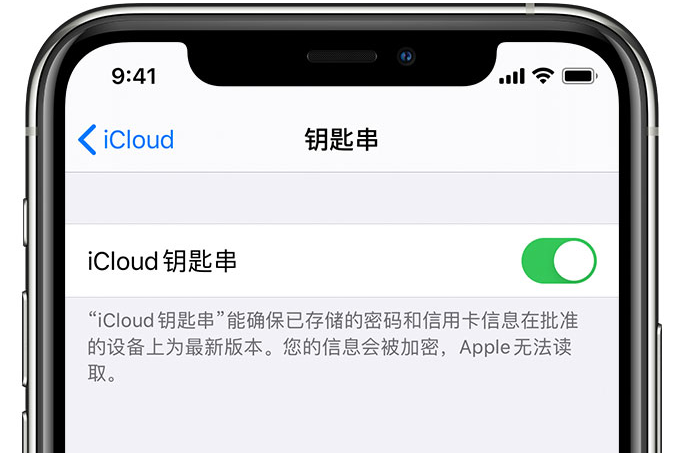 乌什苹果手机维修分享在 iPhone 上开启 iCloud 钥匙串之后会储存哪些信息 