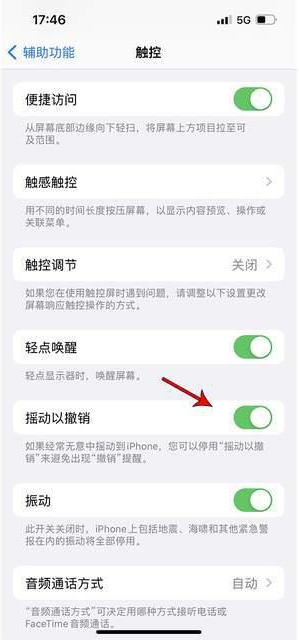 乌什苹果手机维修分享iPhone手机如何设置摇一摇删除文字 